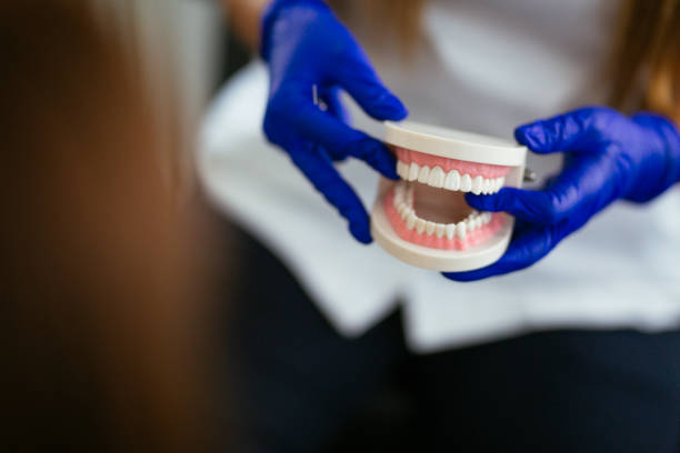 Professional Holistic Dental Care Services in Chesterfield, SC